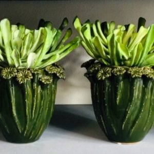 Vetplant