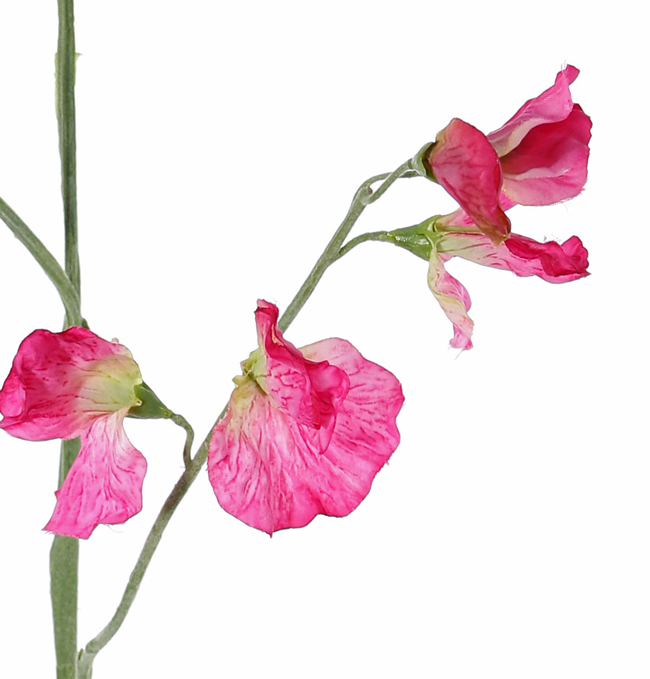 lathyrus kunstbloem roze levensecht