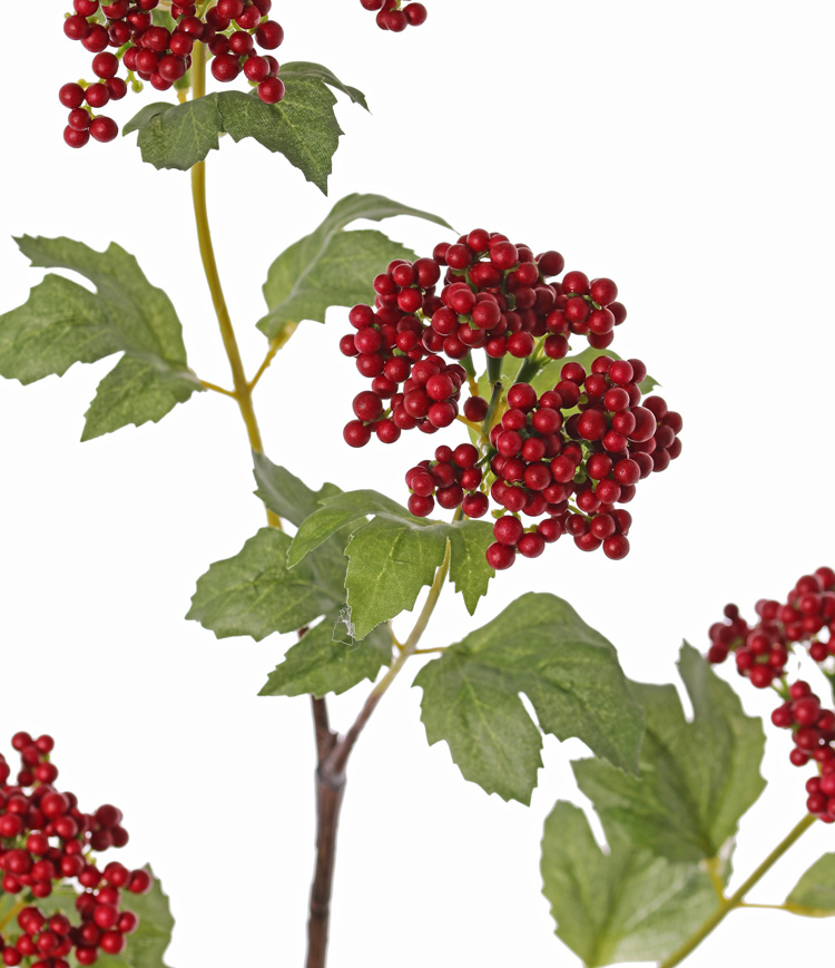 Bessen kunsttak in rood. - Afbeelding 2