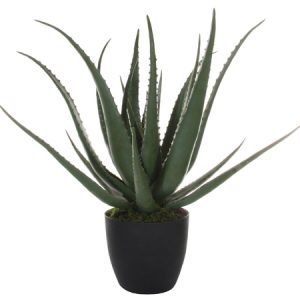 Levensechte Aloë Vera kunst vetplant