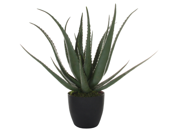 Levensechte Aloë Vera kunst vetplant