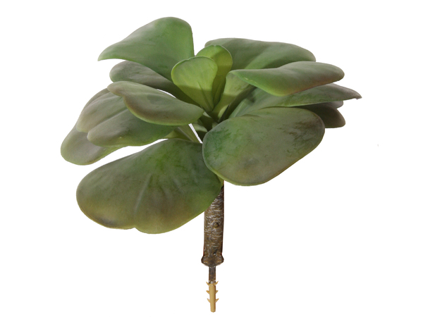 Hippe kunstplant vetplant
