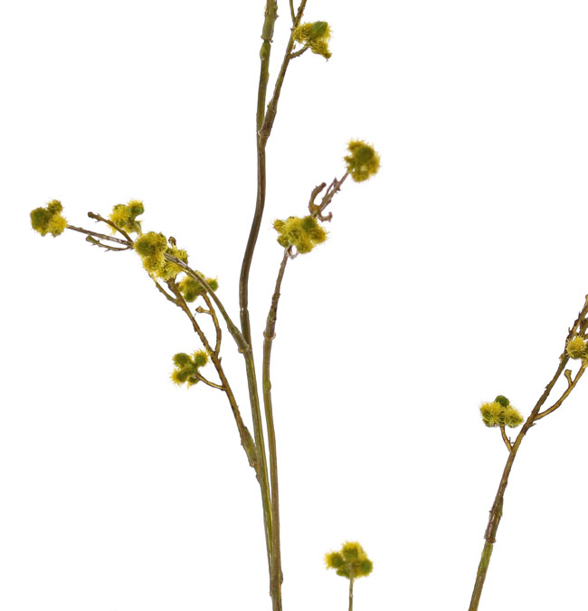 Stirlingia blueboy gele kunstbloemen - Afbeelding 2