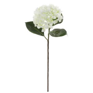 Grote witte zijde hortensia