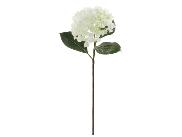 Grote witte zijde hortensia