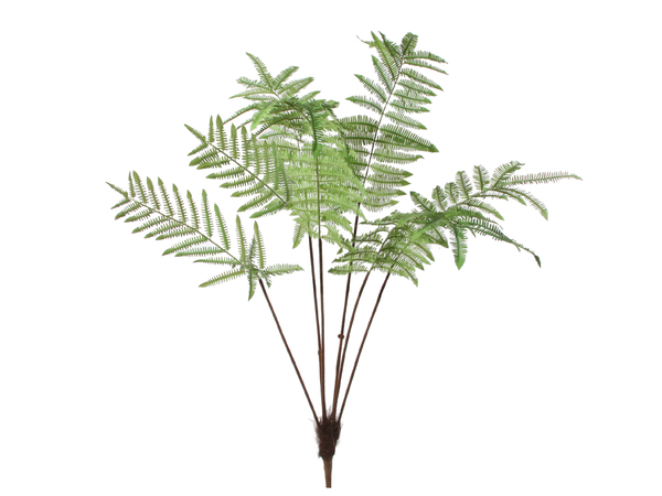 Grote kunst varen 6 stems