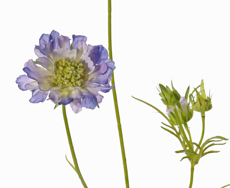 Scabiosa duifkruid kunstbloemen - Afbeelding 2