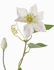 Clematis witte kunstbloem - Afbeelding 2