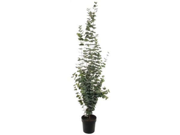 Topkwaliteit Eucalyptus kunstplant H.160 cm - Afbeelding 2