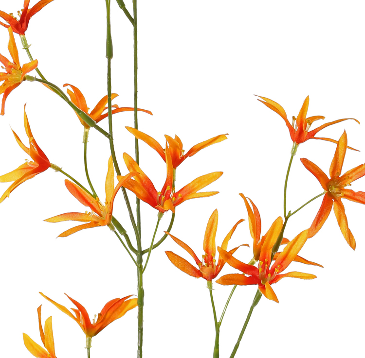 Tweedia oranje kunstbloem - Afbeelding 2