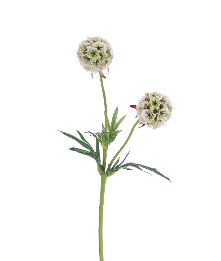 Scabiosa kunstbloem met zaadbol
