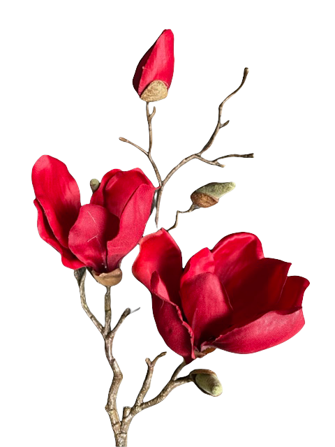 Prachtige rode magnolia tak - Afbeelding 2
