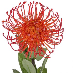 fel oranje speldenkussen kunstbloem