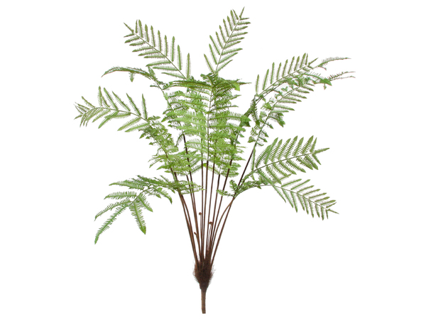 grote kunstplant zijde varen 13 stems