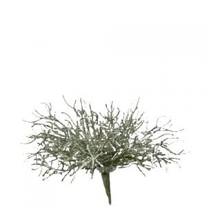 Decoratief zilverstruikje