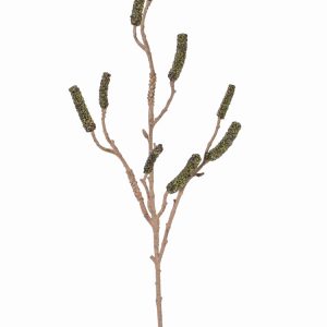 Groene lampenpoetser siertak