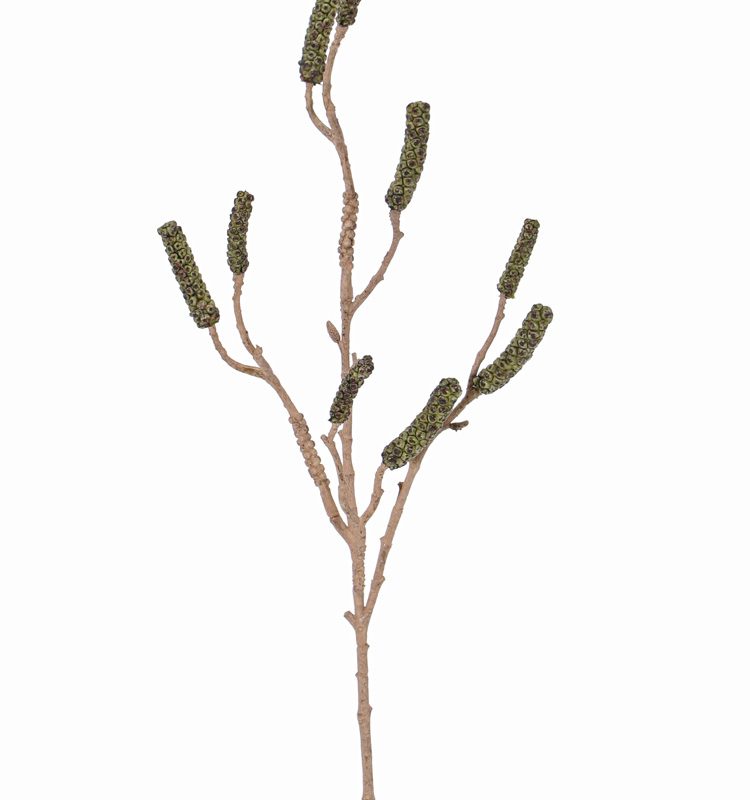 Groene lampenpoetser siertak