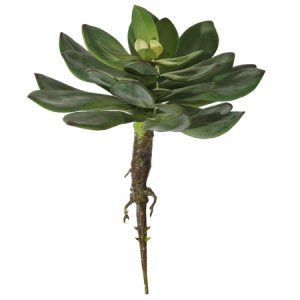 Decoratieve vetplant kunstplant