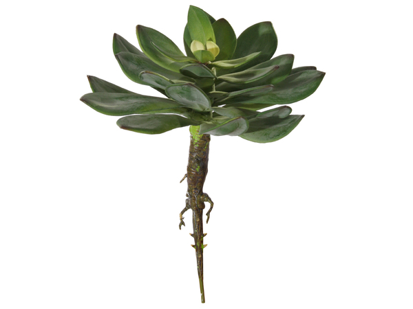 Decoratieve vetplant kunstplant