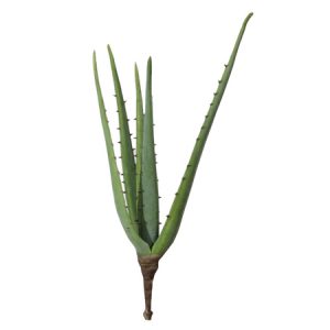 Aloë Vera kunstplant vetplant