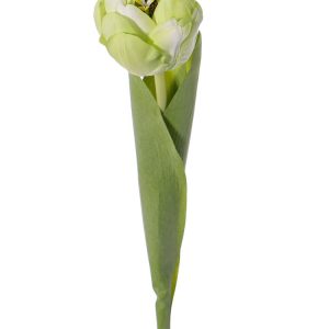 Kunst tulp in geel