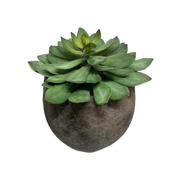 Vetplant