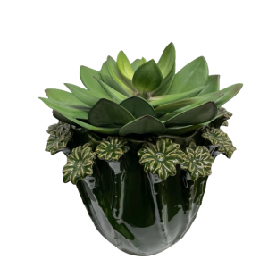 Keramiek vaas met bloemenornament met vetplant