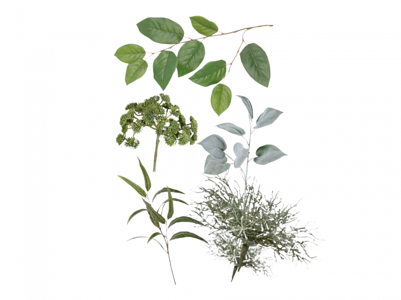 Decoratiegroen