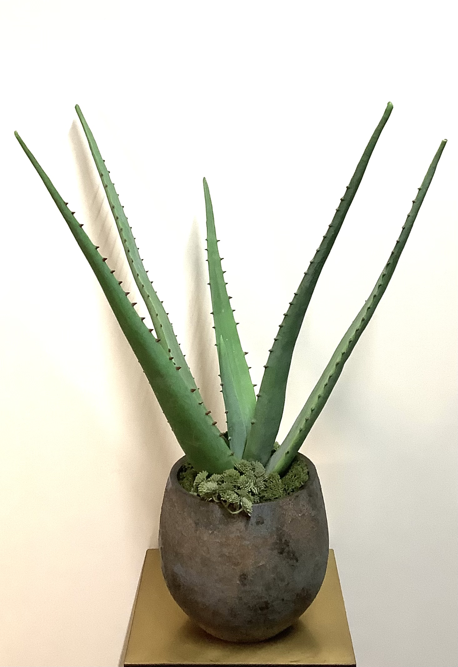 Grote Aloë Vera kunstplant in ceramiek pot