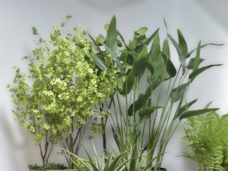 Grote kunstplanten sale -50%