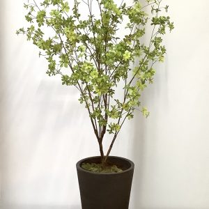 Do Dan tree kunstplant