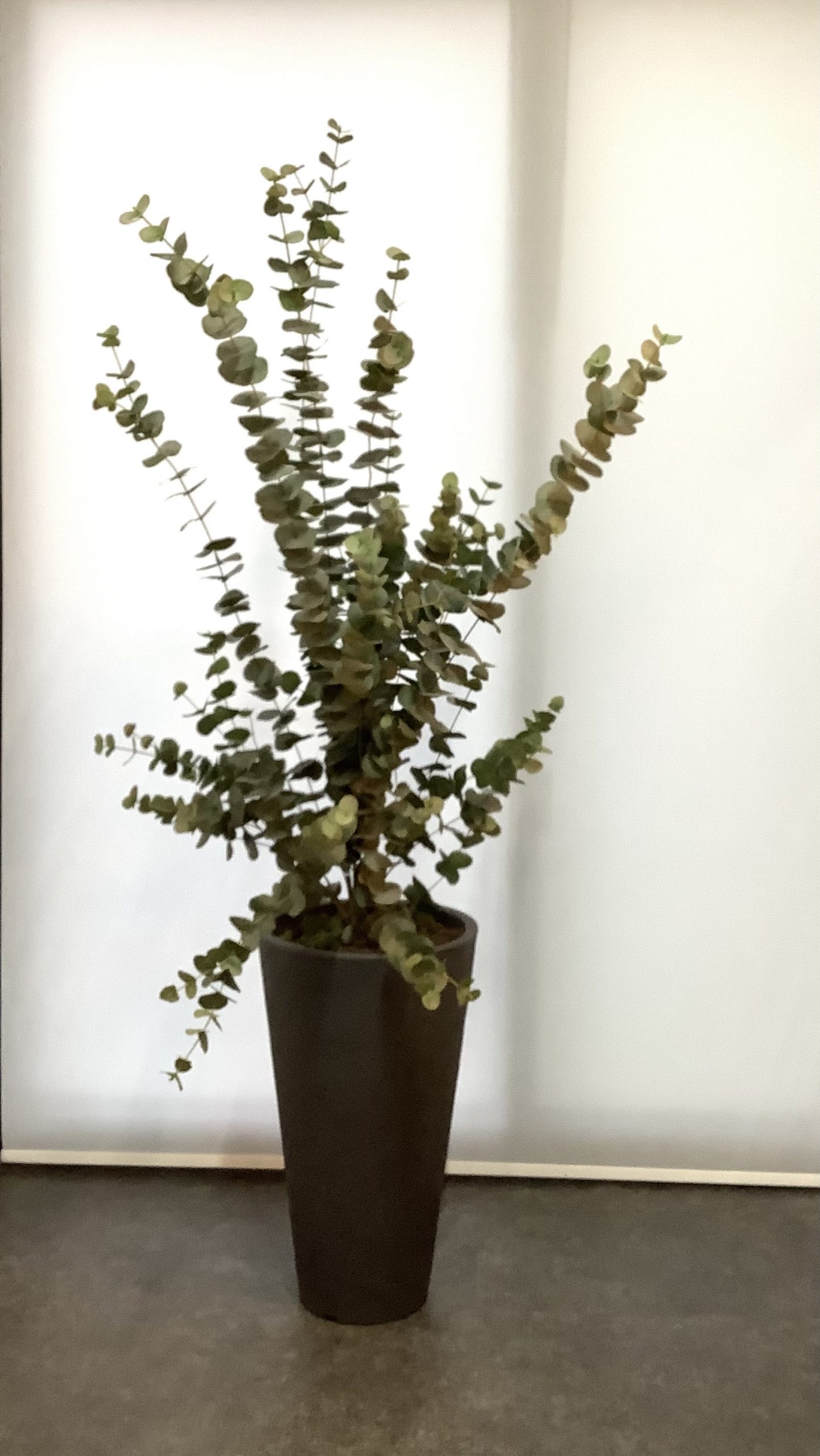 Eucalyptus kunstplant