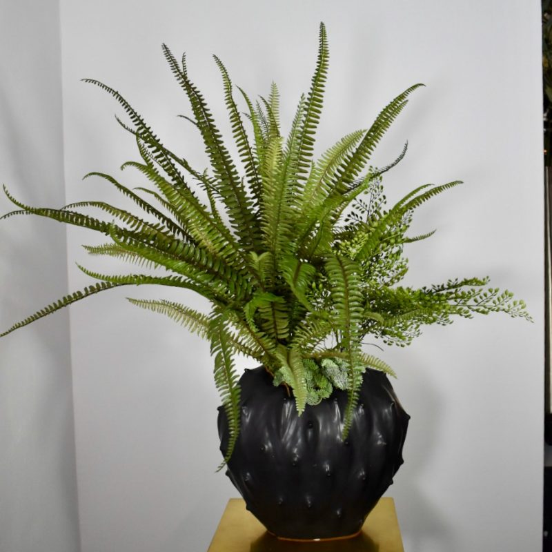 Cactusvaas met kunst varen
