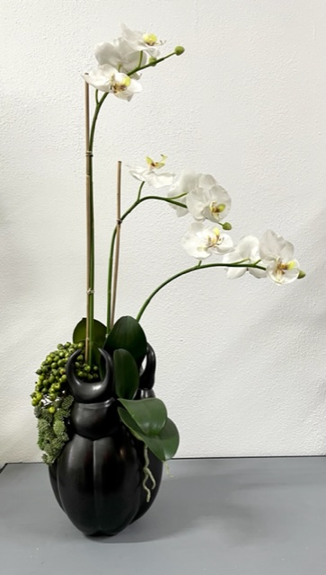 Witte orchidee in matzwarte kevervaas