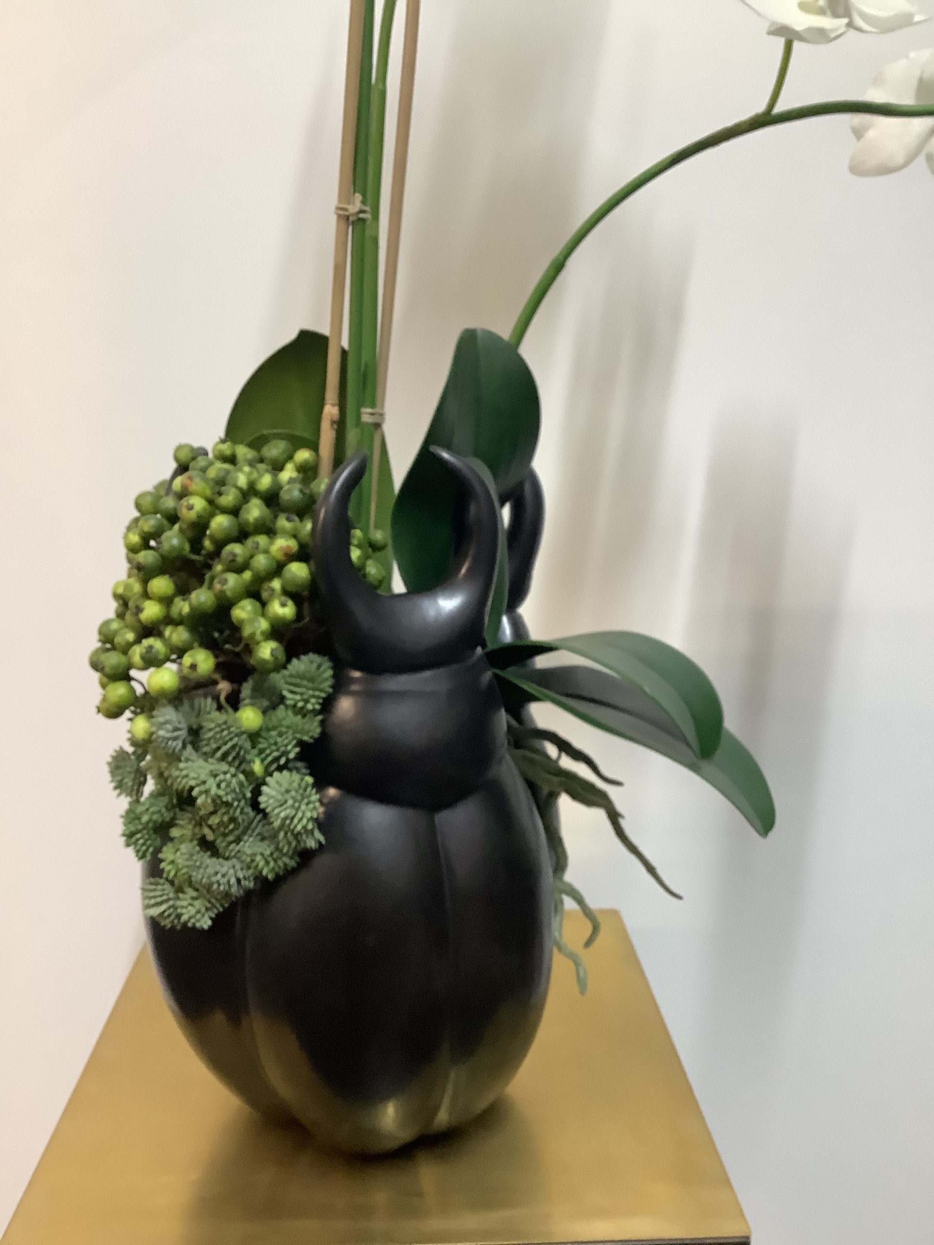 Orchidee met sedum
