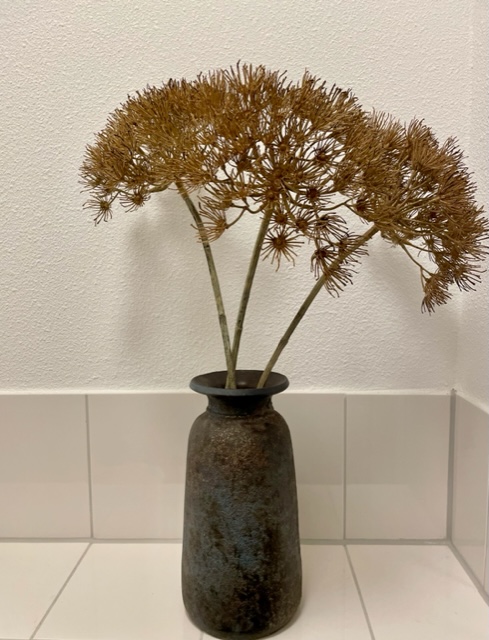 Dille spray naturel berenklauw