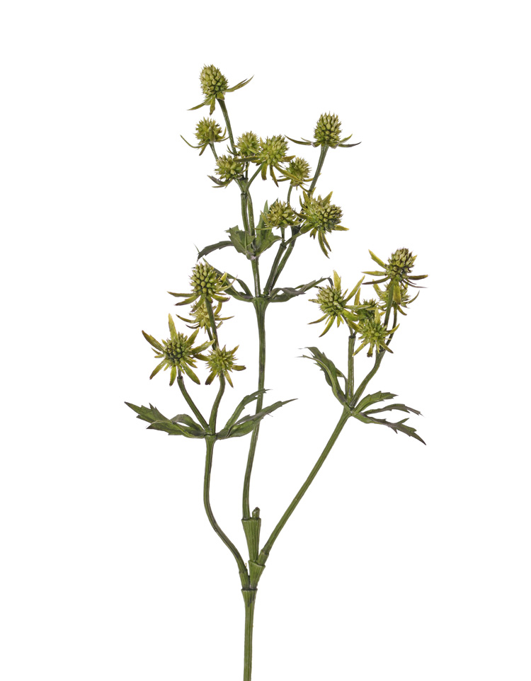 Groene Disteltak H.65cm.