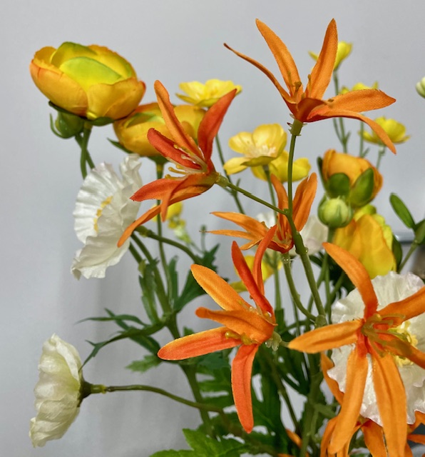 Geel met oranje ranonkel