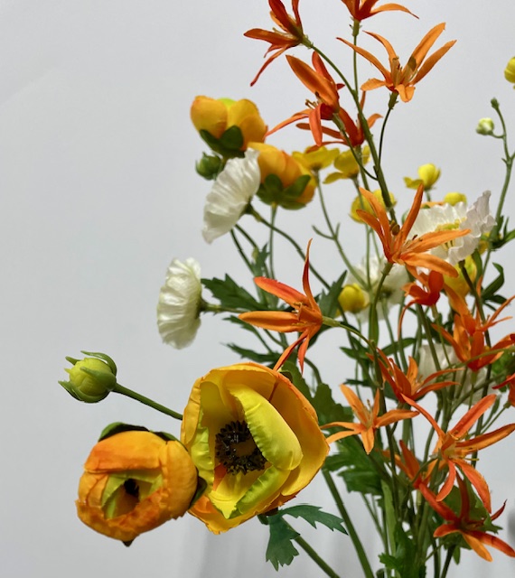 Geel met oranje ranonkel
